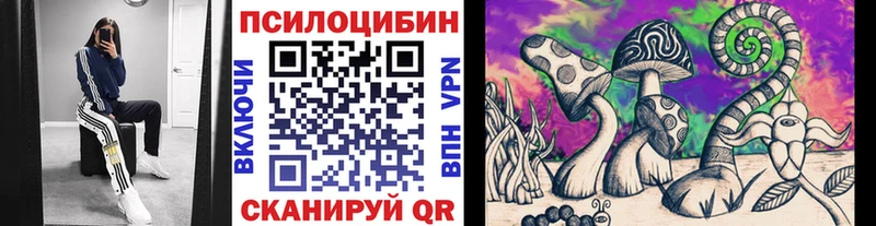 Галлюциногенные грибы Cubensis  что такое наркотик  Кисловодск 