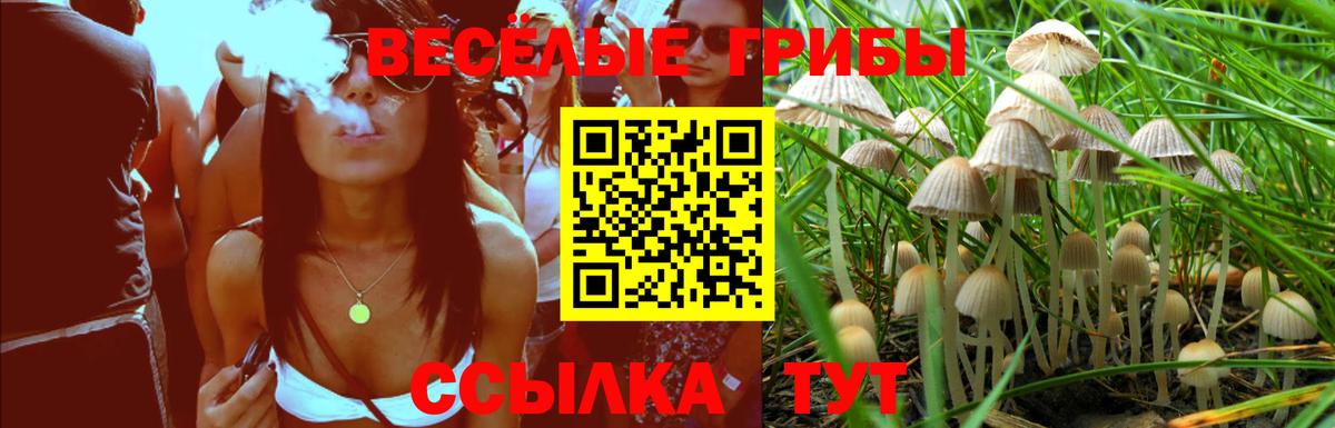 Псилоцибиновые грибы мухоморы  Вход с VPN  Кисловодск  Псилоцибиновые грибы Psilocybe 